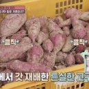 중산농원 이미지