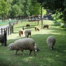 인천목장 이미지