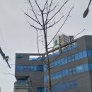 서이드림내과의원 이미지