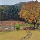 해달공인중개사사무소 이미지