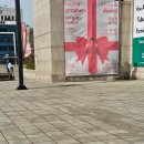 휴대폰으로 찍는 예술 사진 이미지