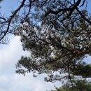 갑장산화장실 이미지