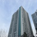 검암119안전센터 | 인천 서구 백석동 포장이사 추천 이삿짐센터 추천 검암로얄파크시티 푸르지오 포장이사 후기