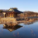 학산1리 티스토리