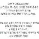 고고홈쇼핑