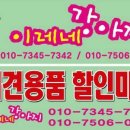 이레네 강아지 이미지