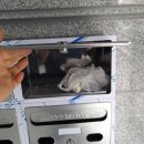 금오전기철물