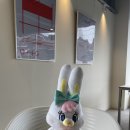 카페하덴
