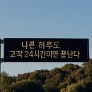 씨제이올리브영(주) 성남은행점 | [ 11월 둘째 주 일기 ] 밀리의 밀린 일기 .. 풉킼 👽