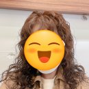 복슬 강아지미용실 이미지