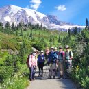 Skyline Loop Trail, Mt Rainier 20207-30 이미지