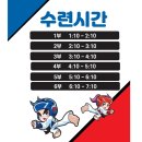 용인대아이러브태권도장 이미지