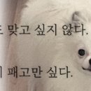 미파솔 - 강남구 도산대로 451 | 미파솔