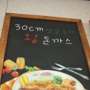 30센치옛날수제왕돈가스 이미지
