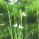 여름꽃농장 이미지