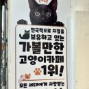 집사의하루 연남점 이미지
