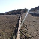 발자국화석관리사무소 이미지