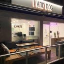 아이앤독 이미지