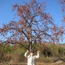 고아목욕탕 이미지