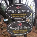 구구리 티스토리