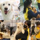 박성철농장 이미지