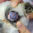 성신동물병원 이미지