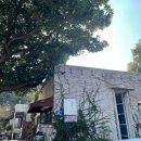 노포부터 인★ 핫플까지, 제주 찐맛집 찾는다면 여기로~ 이미지