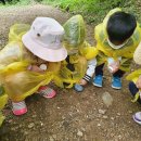 본아미강남어린이집 이미지