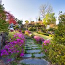 한방자연휴양림 이미지