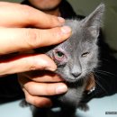 태전동물병원 이미지