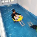 수영장 독채 폭포리아 풀빌라 | 경주 가족 펜션 독채 풀빌라 나리길 한옥펜션 24시간 미온수 수영장