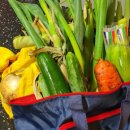 월곡시장1 이미지