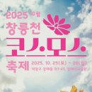 코스모스페이스