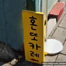 혼또카레 이미지