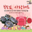 홍가네건어물 이미지