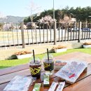 연화통팥 이미지