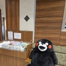 시하여행사 | 규슈 구마모토 골프여행 & 렌트카 이용시 가성비 호텔 / 베셀 호텔 구마모토 에어포트 후기, 예약