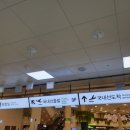 체크 인 제주 네이버블로그