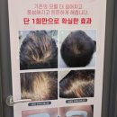 제이.미 이미지