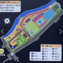오지1길 13 | 🏃‍♀️ 태백 트레일러닝대회 참가 &amp; 태백눈꽃야영장 방문 후기(애견동반)