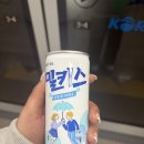 야옹아 부탁해 | 우울모드 200%