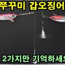 ■■■ 핀도래 팔로마 매듭을 이용한 쭈꾸미 직결 가지 채비 이미지