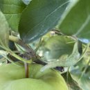 주용농장 이미지