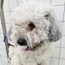 반자주 진해점 이미지