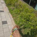 살롱드 멍 이미지