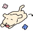 플루밍 이미지