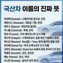 국산차 이름의 진짜 뜻 이미지