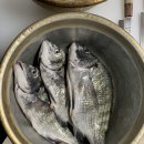 목금토민박 이미지