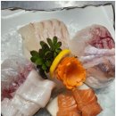 남해-293 | 창원횟집 놓칠 수 없는 맛, 남해회센터에서 배터지는 대방어의 시작!