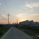 성곡리농로 네이버블로그